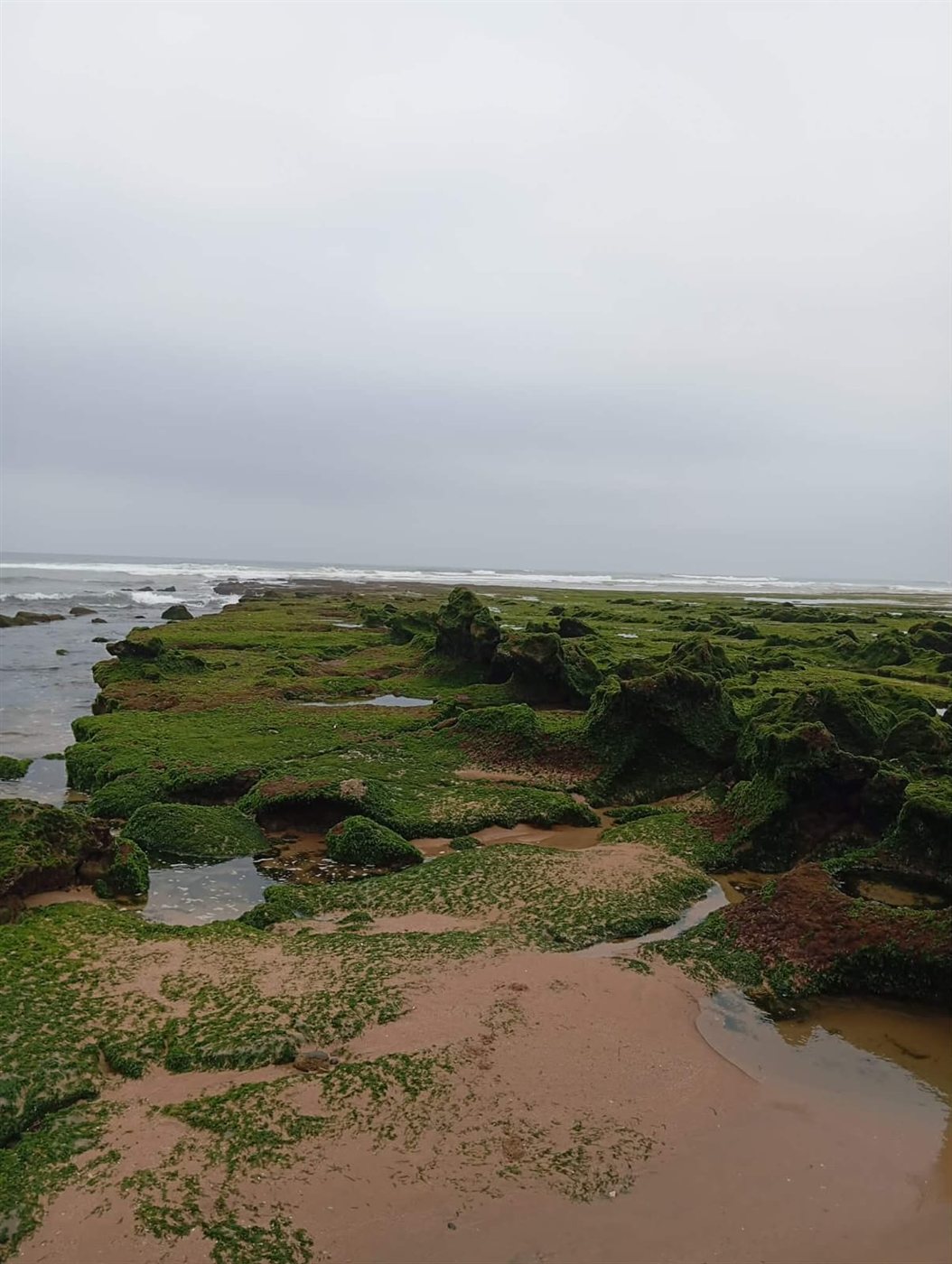 Plage sauvage rocheuse près d'Essaouira