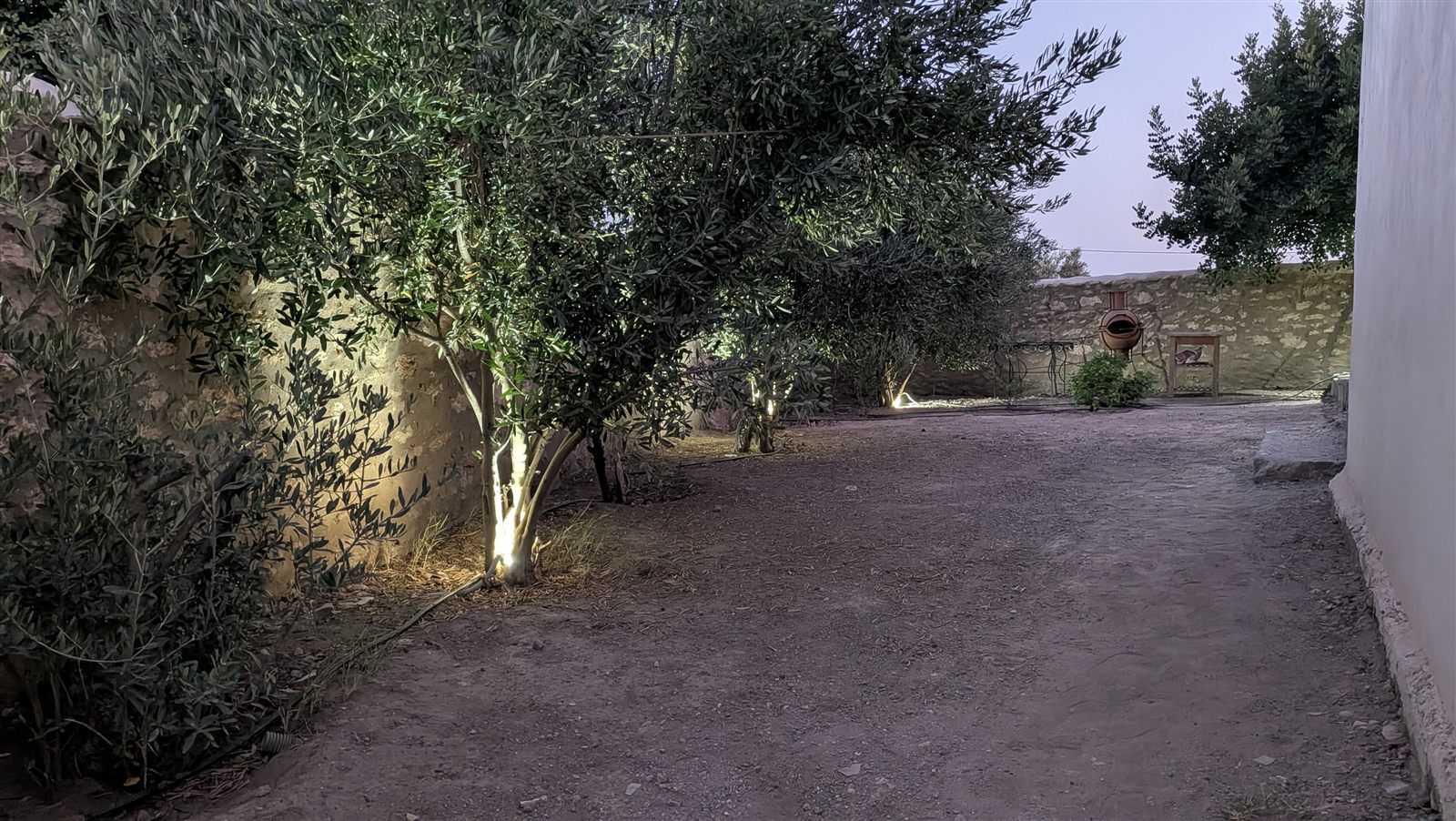 Allée d'oliviers de Dar Christelle éclairée de nuit