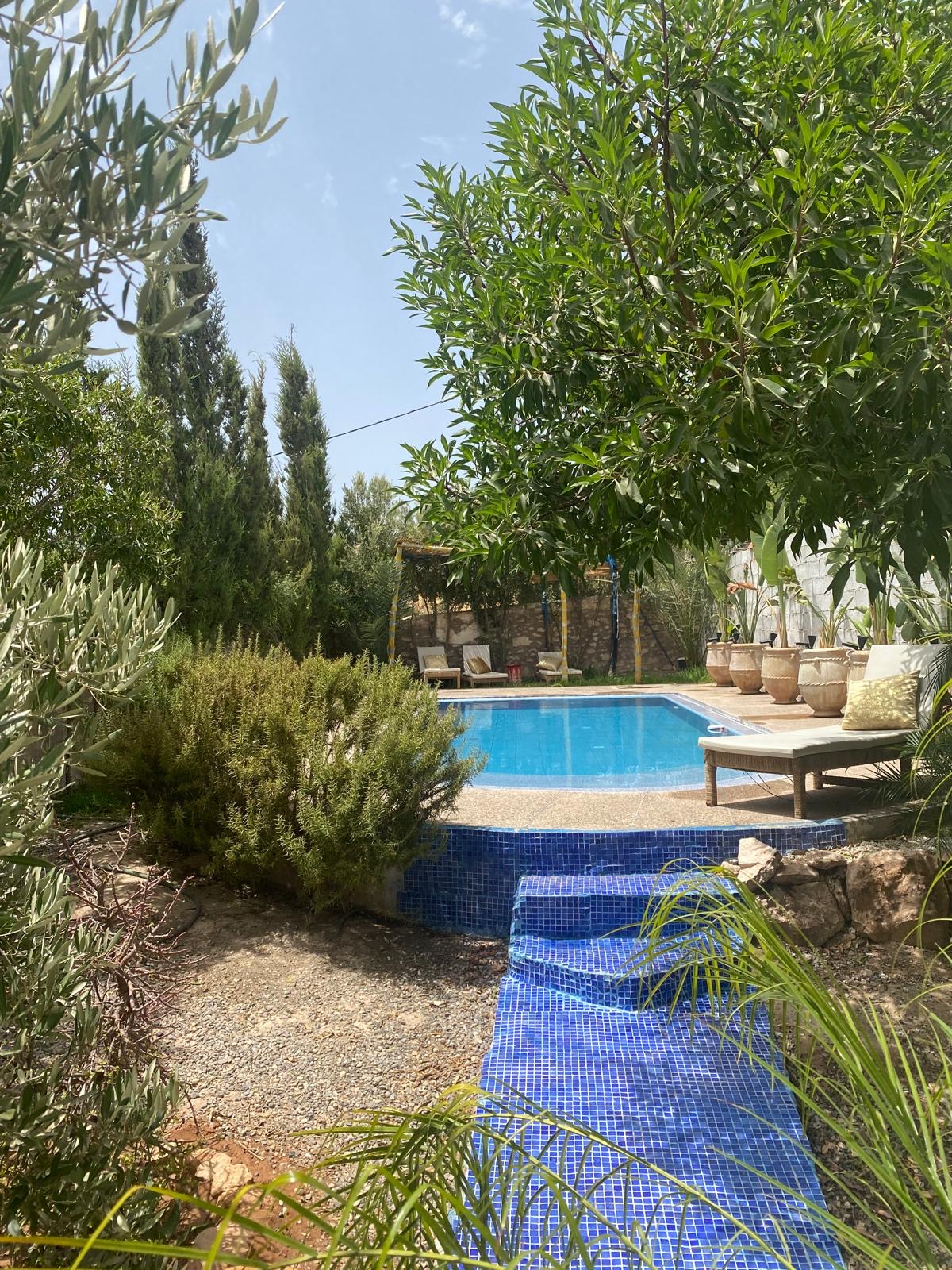 Piscine et jardin de Dar Christelle, entourés d'oliviers, à Essaouira